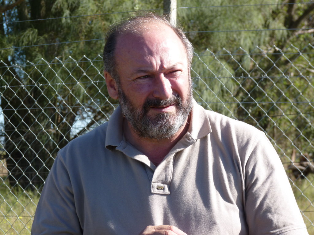 P1350597 (FILEminimizer)