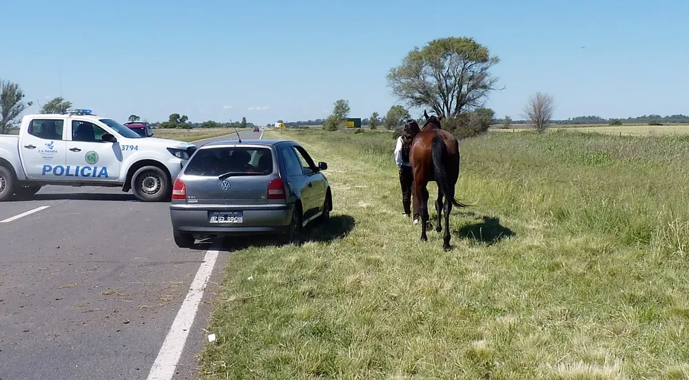 vuelco ruta 35 colegio agropecuario 8 FILE