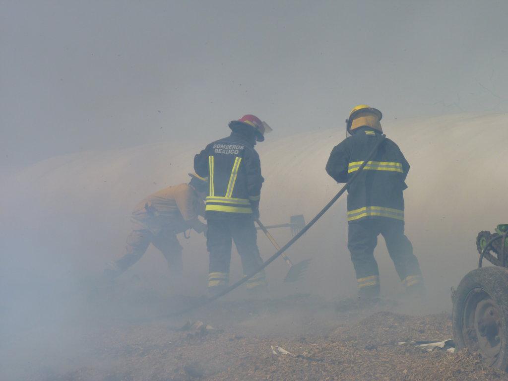 P1050979 (FILEminimizer)