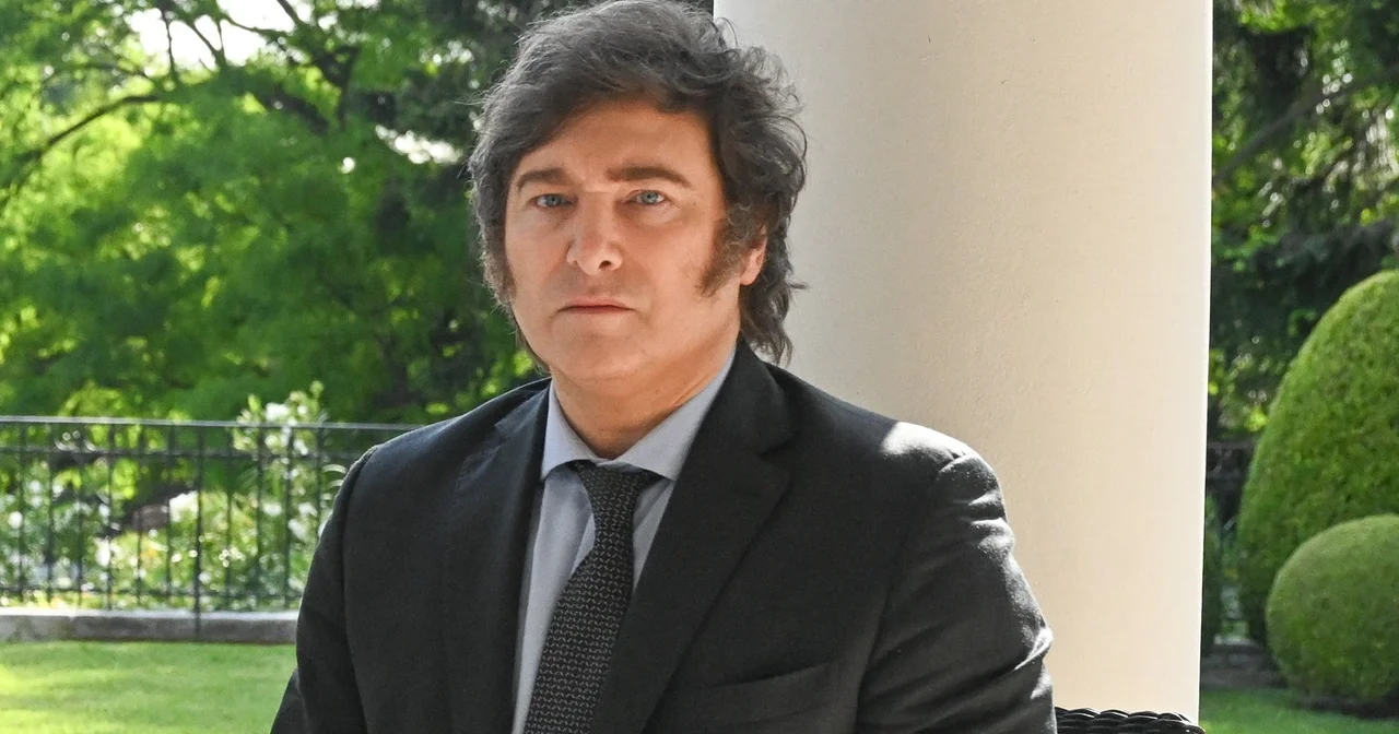 javier milei presidente