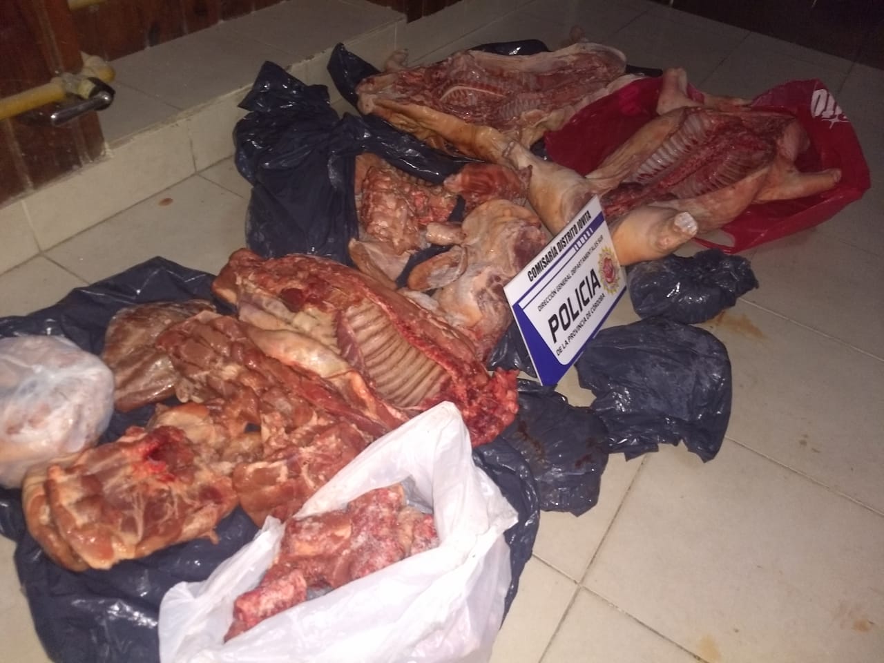 5a0dba0a-9008-486d-81db-654951ad3596