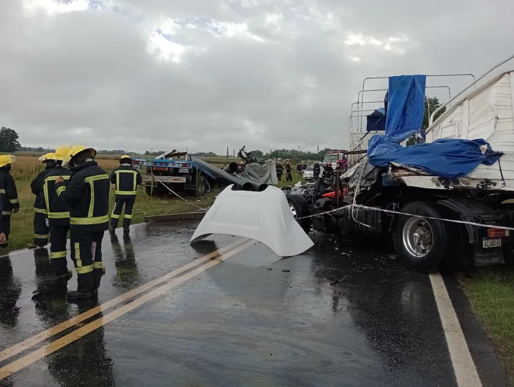 12_img_20240312_172819809_mfnr