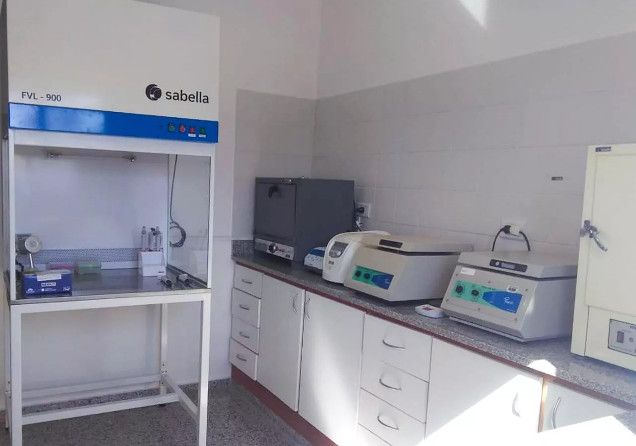 75912_whatsapp-image-2021-08-23-at-18.41.43--3-