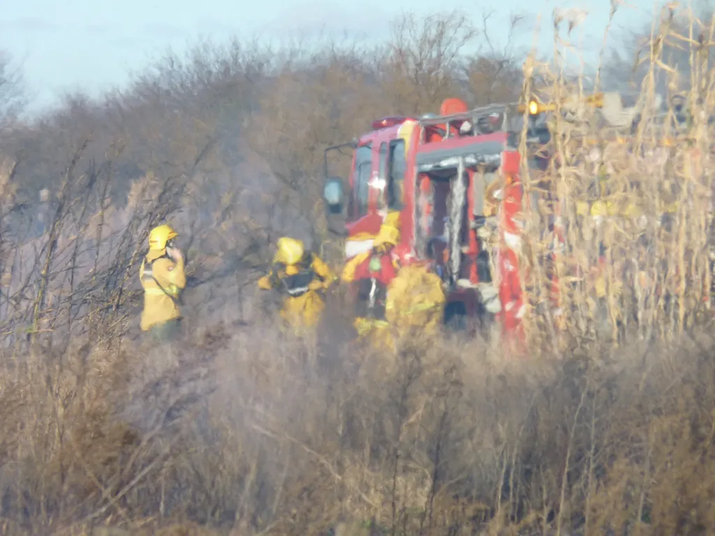 incendio vieja cantera 1 FILE