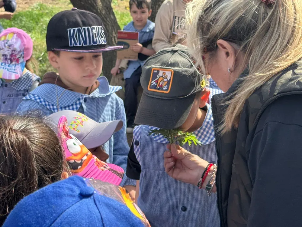 3c09f051-5a2d-4d29-96c0-f2bd540d4357