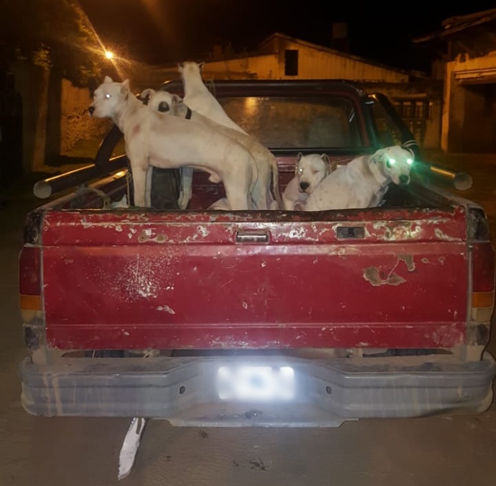 02a07cba-56c0-4bbe-8ca6-44ee79f9146e