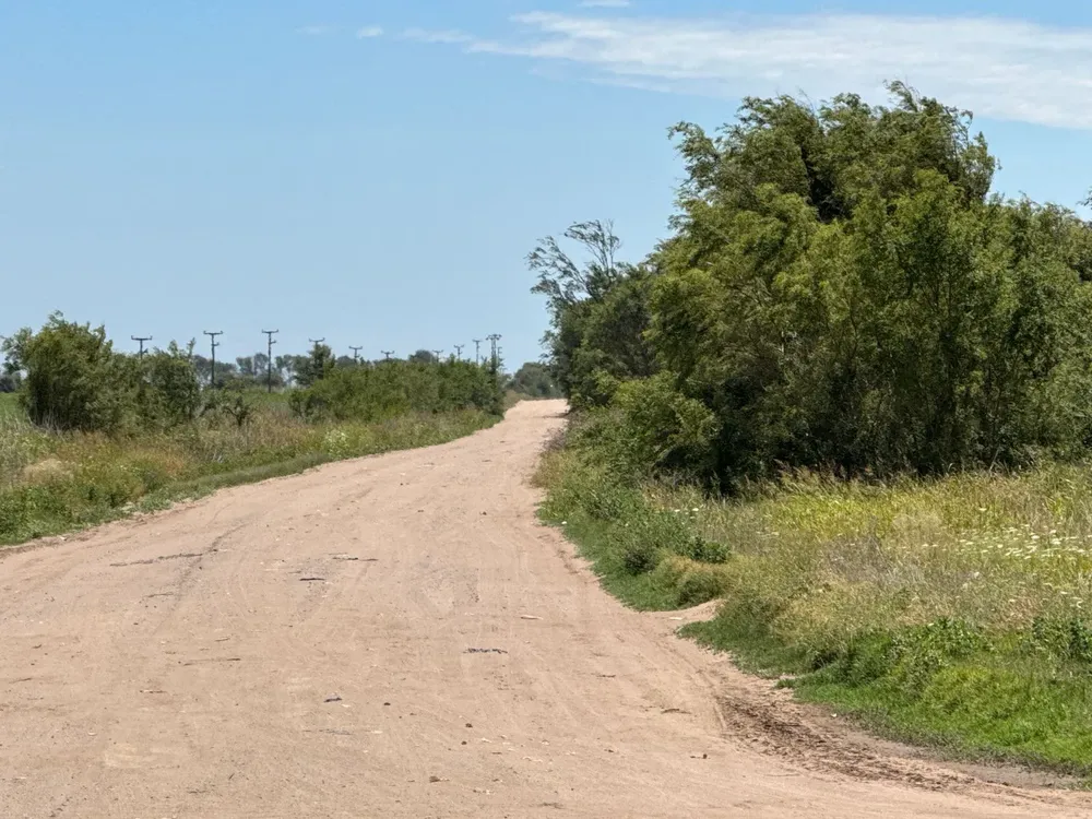 fb19001f-61b9-4267-b2f2-2f96e265dff4