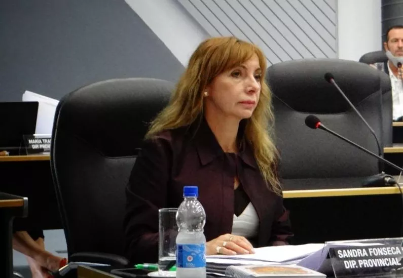 Sandra Fonseca legislatura
