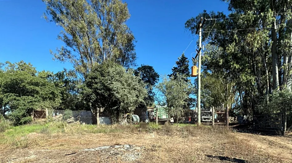 campo encontraron hombre muerto