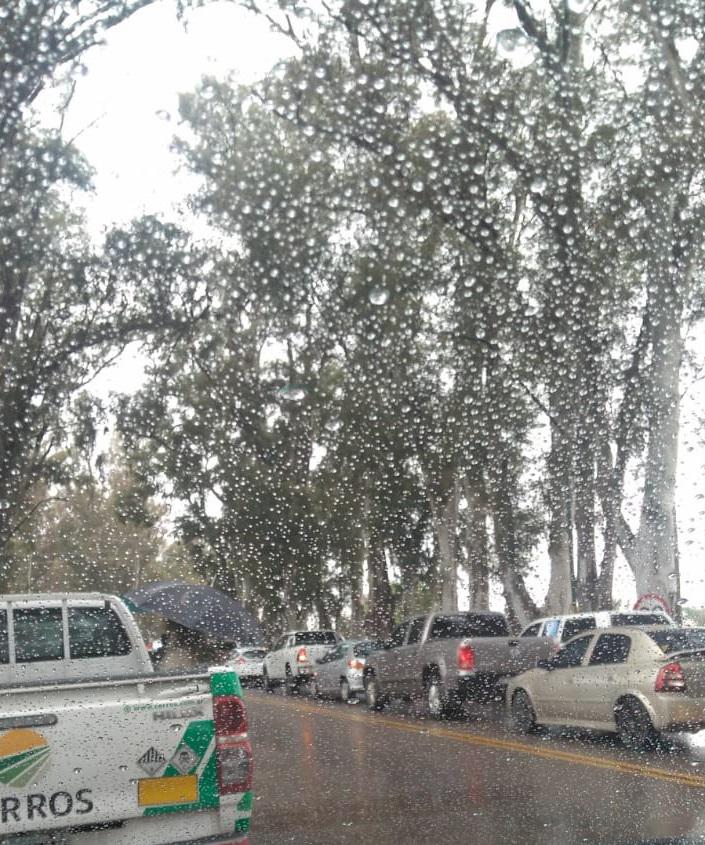 manifestación huinca realico