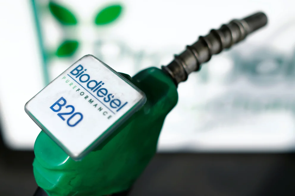 biodiesel gasoil