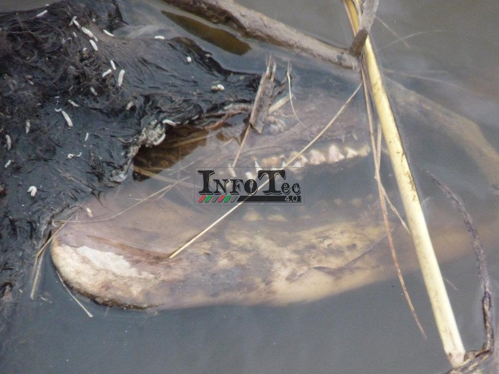 P1250390 (FILEminimizer)