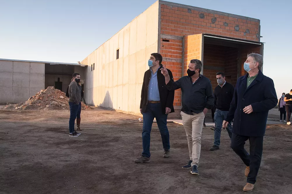 frigorifico winifreda