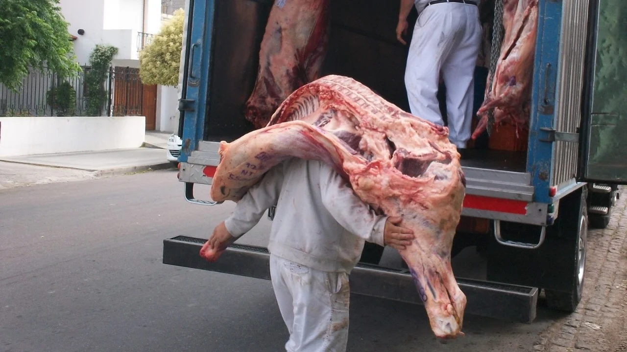 DESCARGA MEDIA RES CAMION CARNE