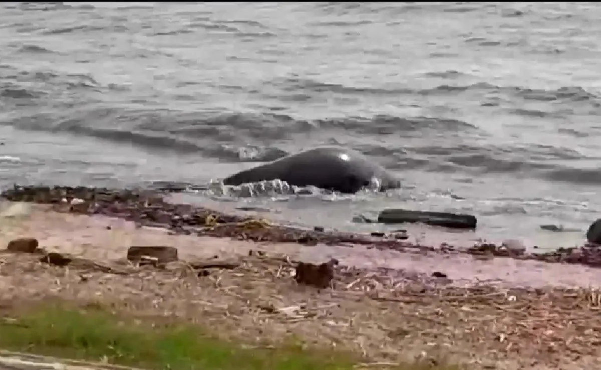 cb1a0e79-3ef3-4334-b5b1-d0b96f802c2b