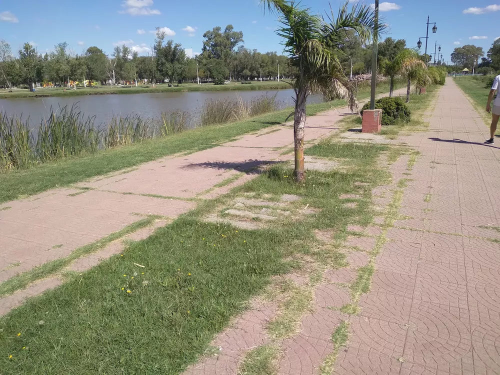 Laguna Don Tomás