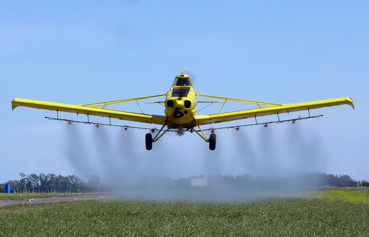 trombetta edgar gatica 3 FILE