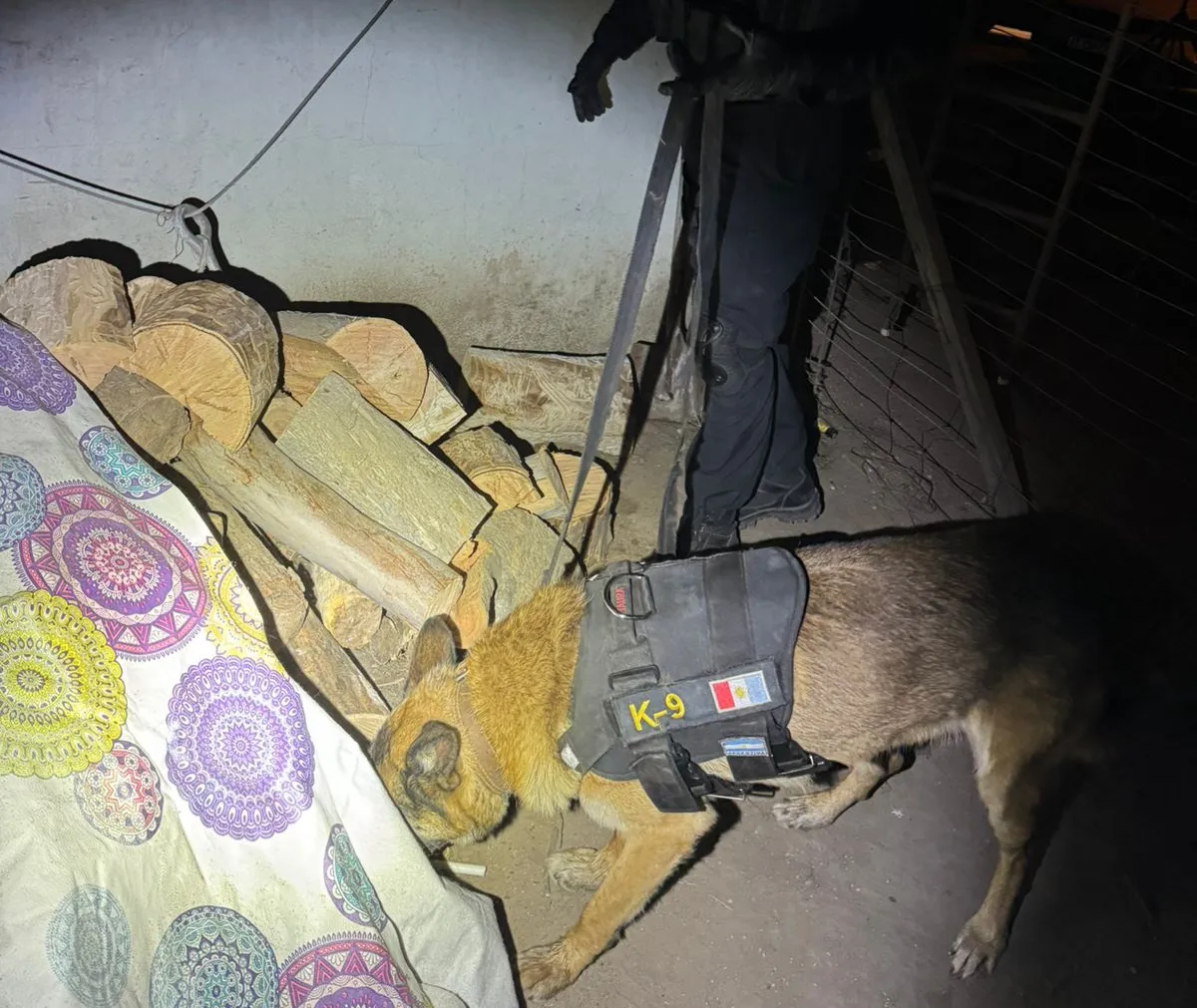 693018a9-7815-46b4-81dd-35ac2aada739