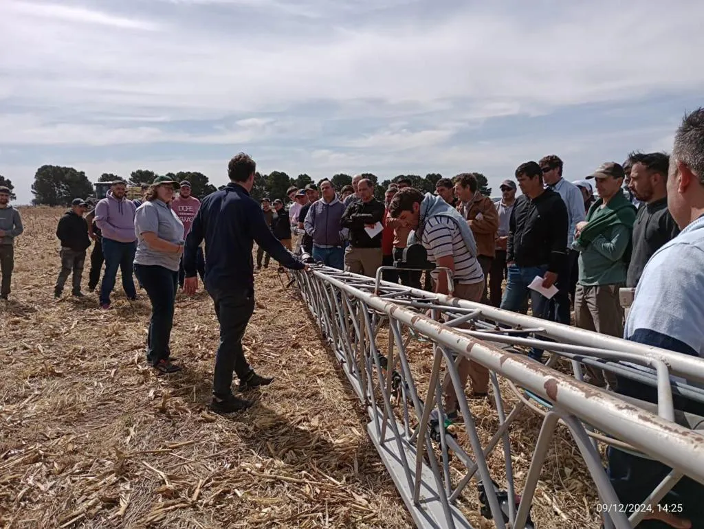 229141_89bb90b6-41ab-4453-ac8e-5b19e6c7b97a (FILEminimizer)