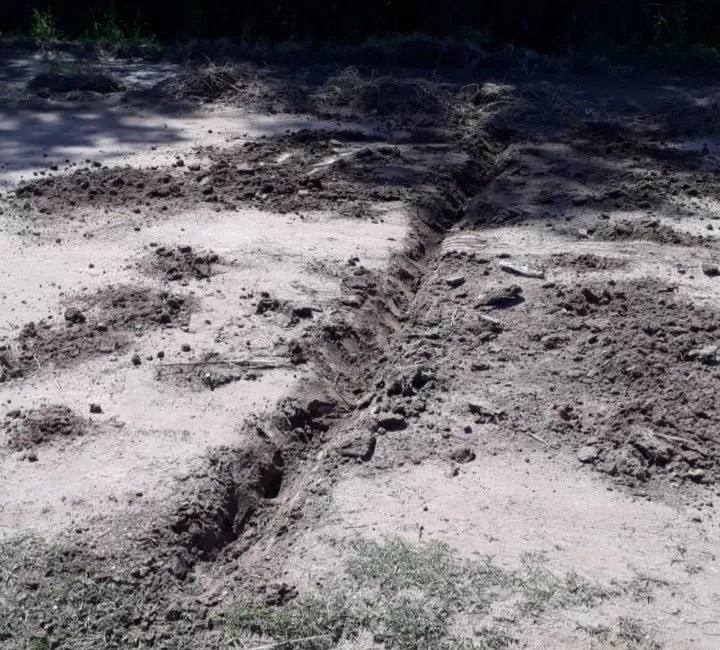 Screenshot_20211119-211018_Gallery