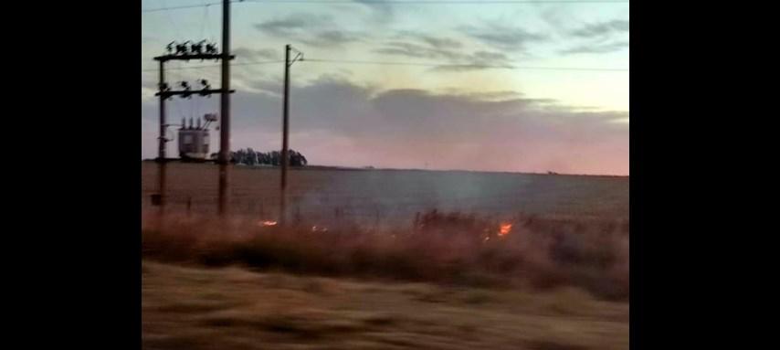 Incendio pastizales Luiggi portada