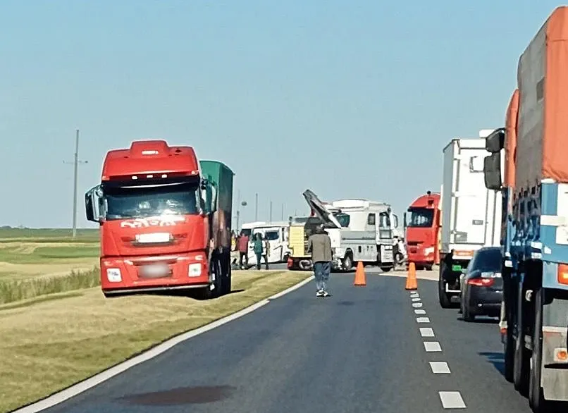 Borrador de IA_image