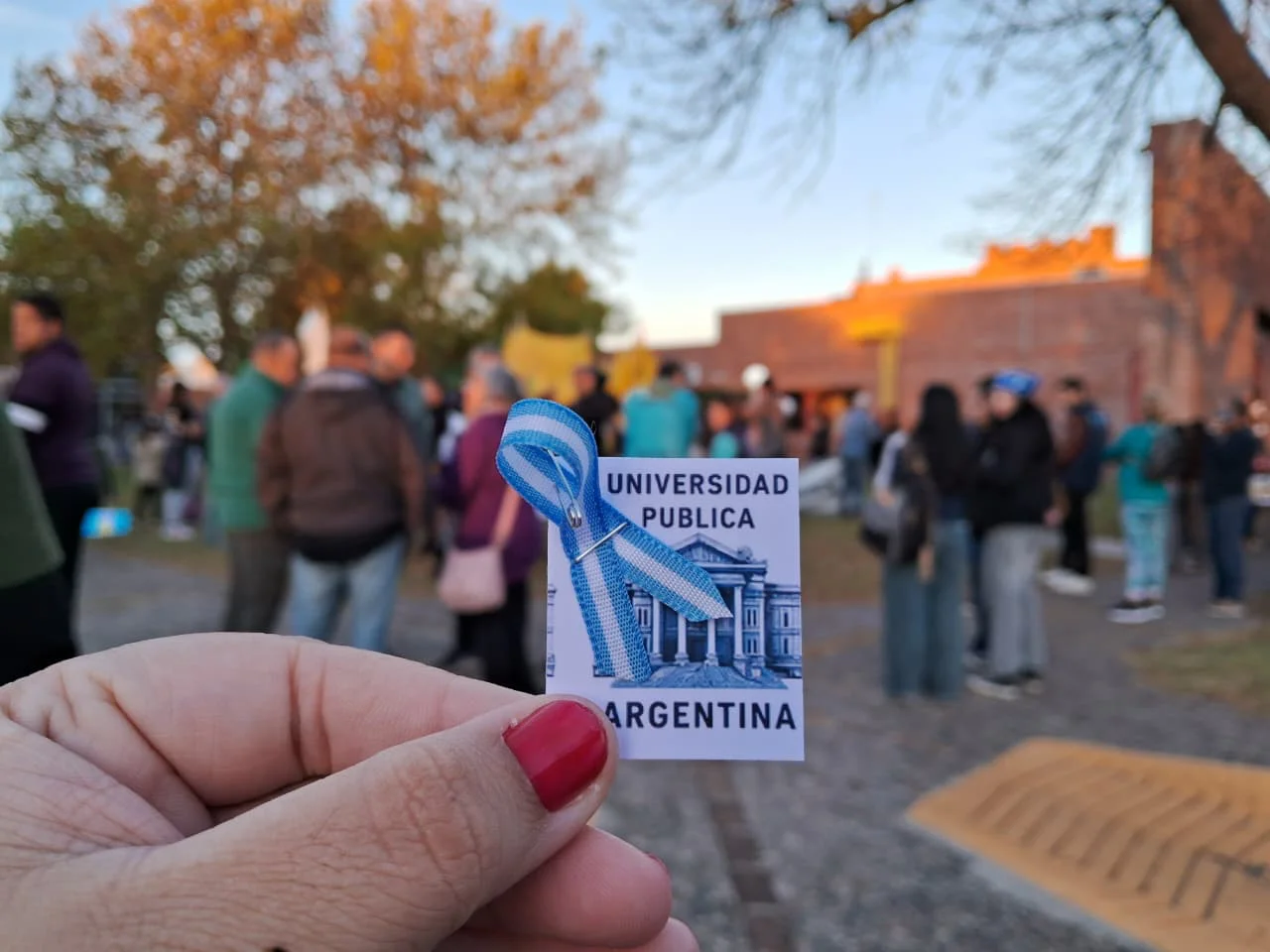 Universidad publica