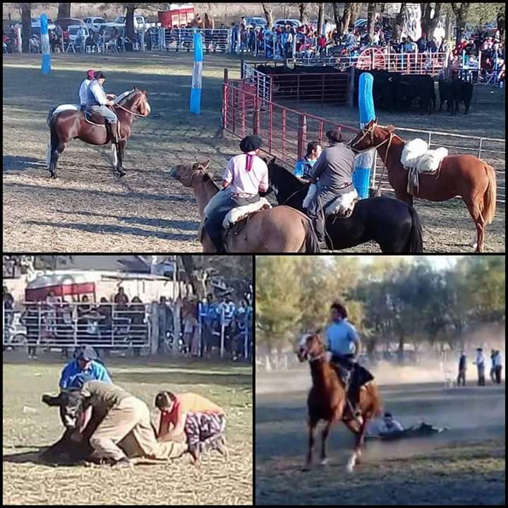 FB_IMG_1558666362523