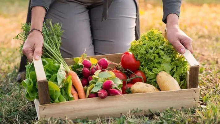 Frtas  verduras