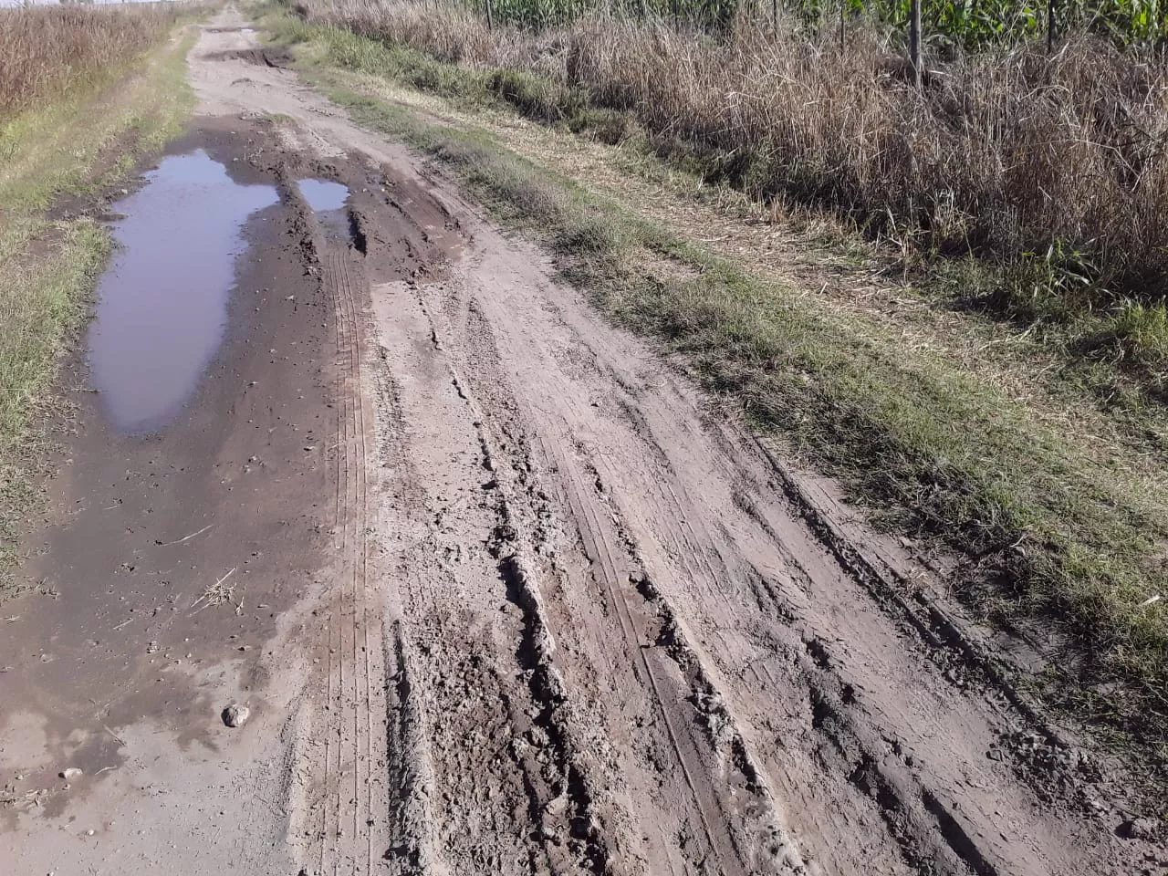 caminos vecinales Realicó 7