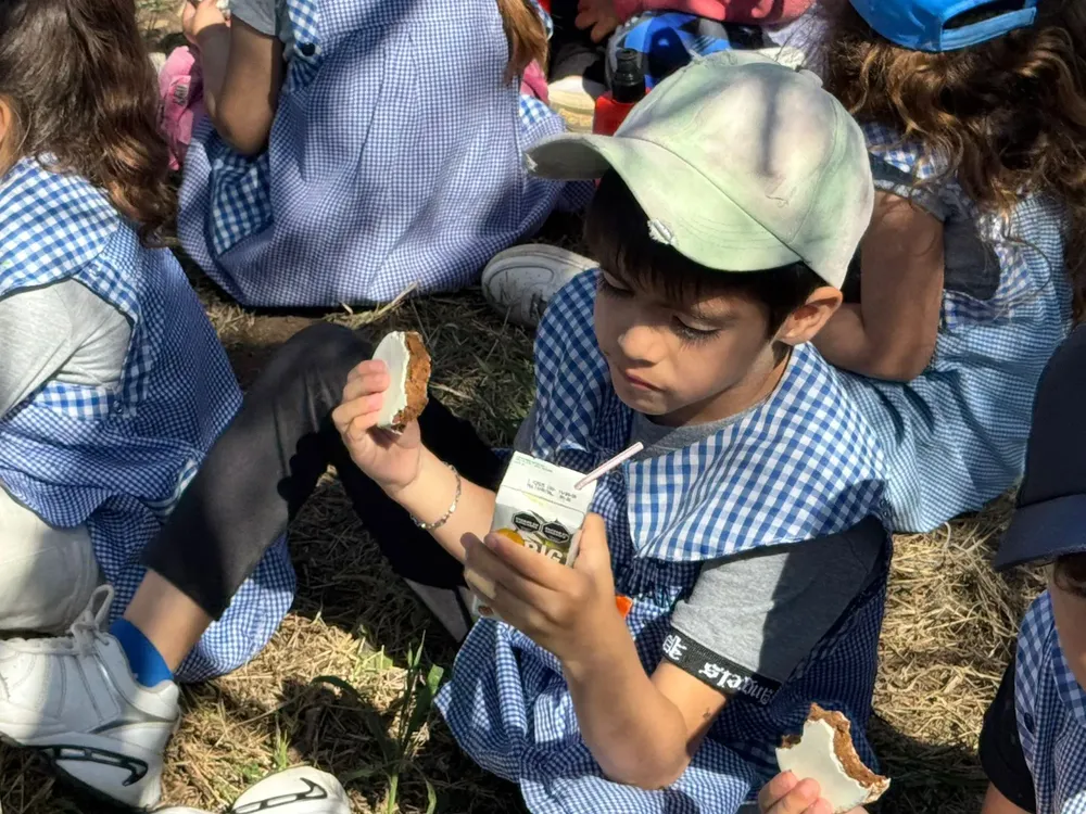 23a80619-1592-4e6d-9352-53b074caf4b9