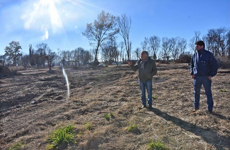 NATATORIO RECUPERACION 4