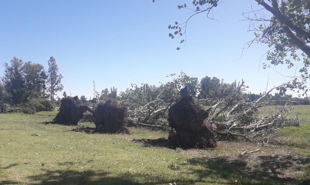 TORMENTA EN LAGOS 078 (FILEminimizer)