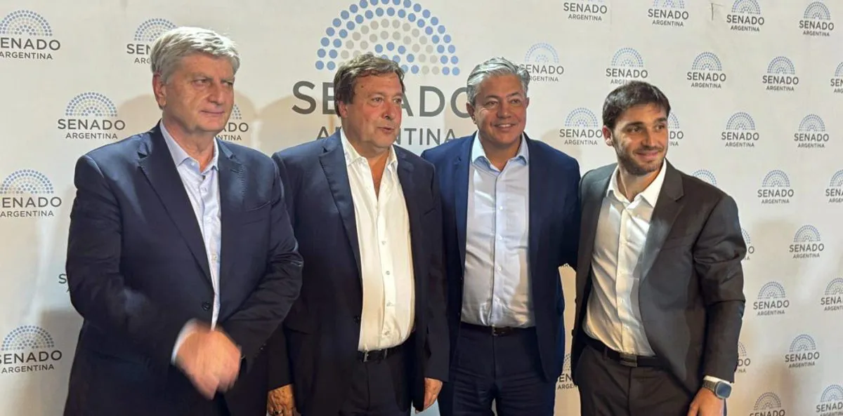 gobernadores patagonicos