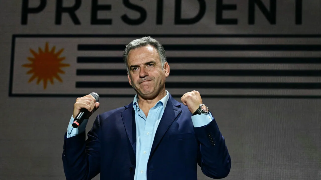 orsi