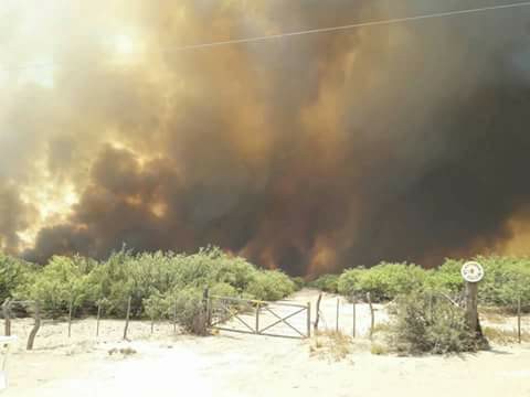 Incendio Mendoza 2018 2