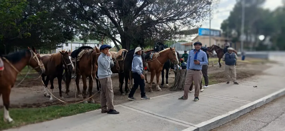 jineteada rio negro
