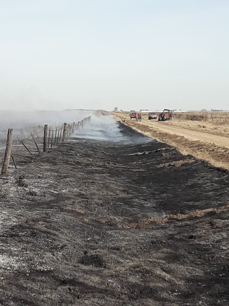 0166c2cf-01a0-448e-b033-ef36bb515c3c