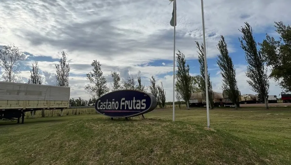 Castaño Frutas