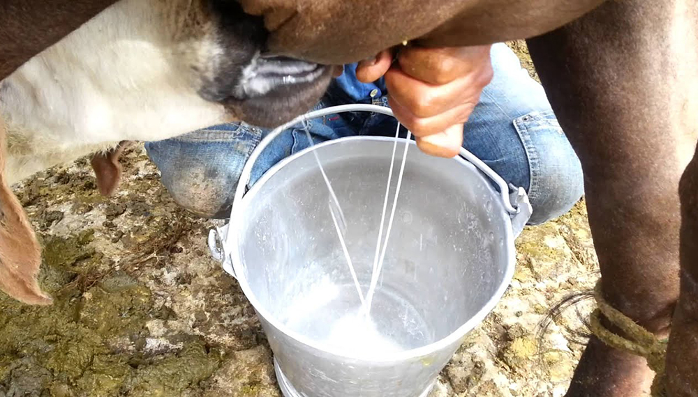 leche