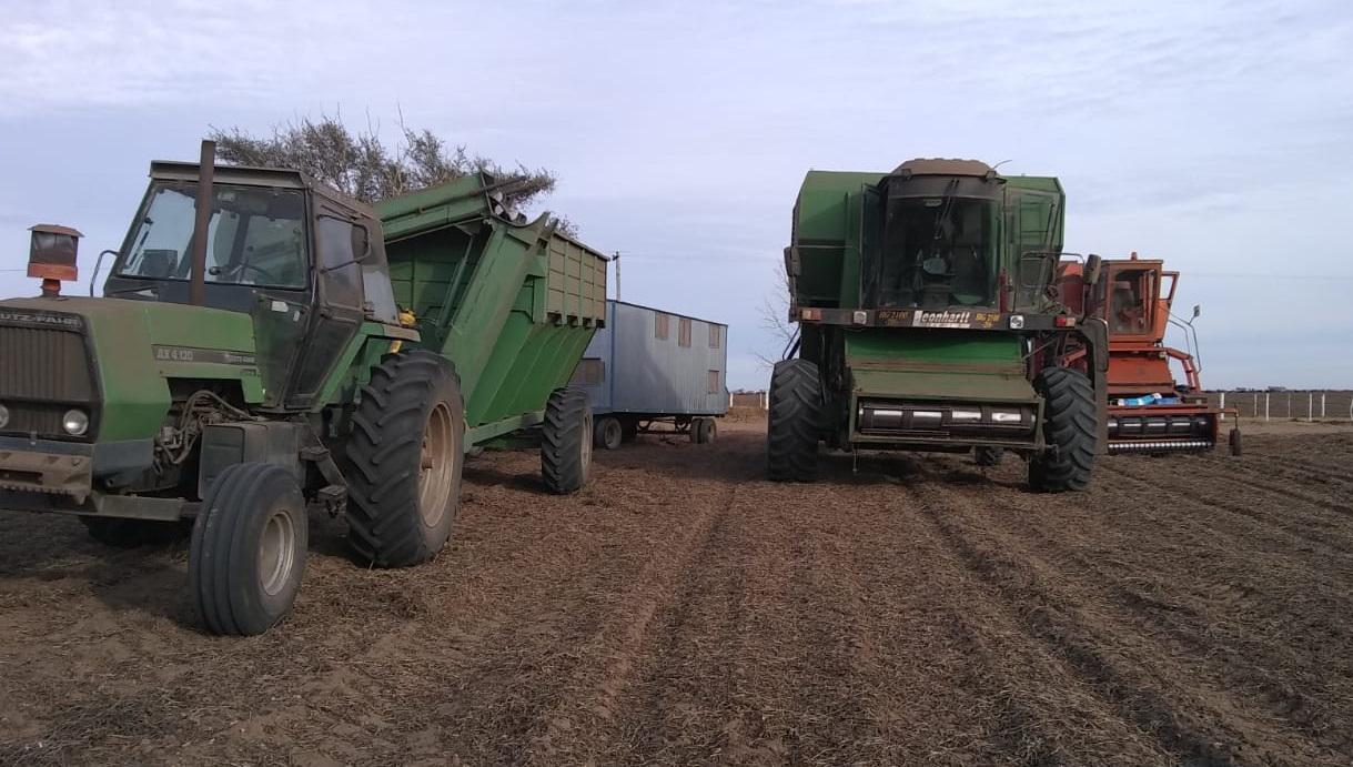 CONWOY AGRÍCOLA DETENIDO 015