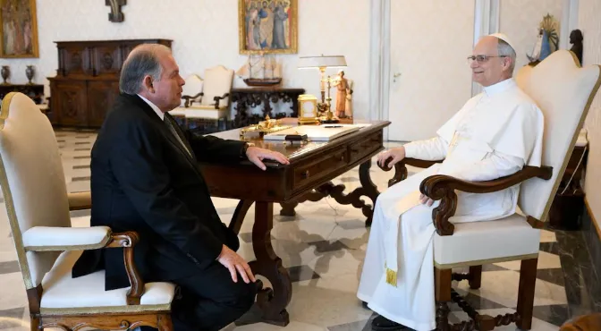 Papa Leon con Werthein