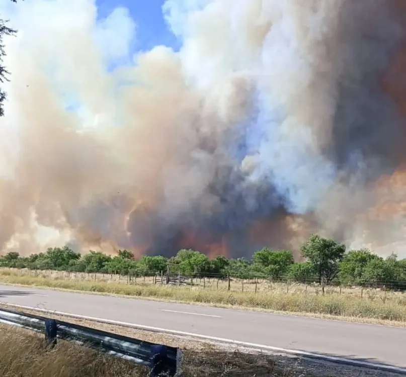 INCENDIO FORESTAL ENTRE ABRAMO Y BERNASCONI