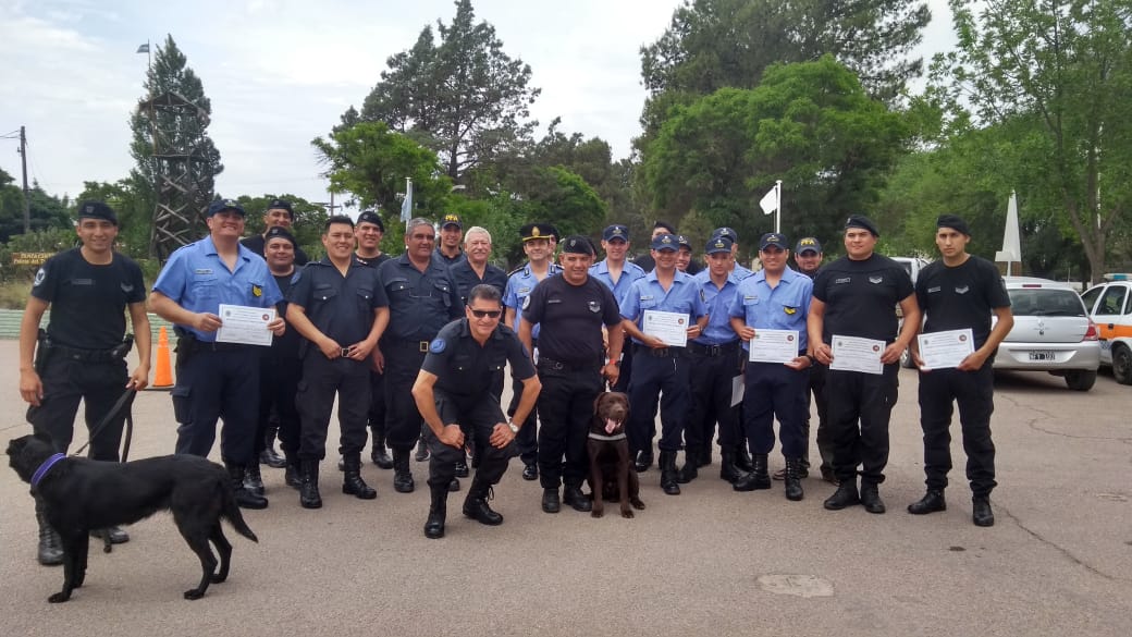 policia canes 1