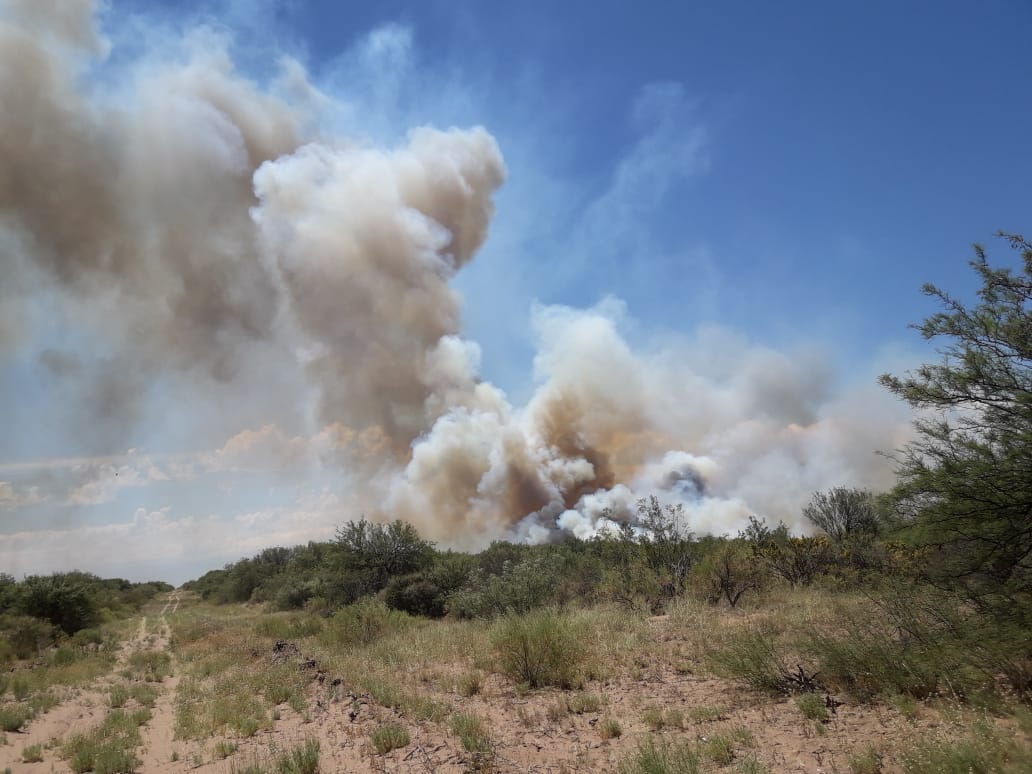 0e18f434-de10-45fd-bb65-d32e5eda315b