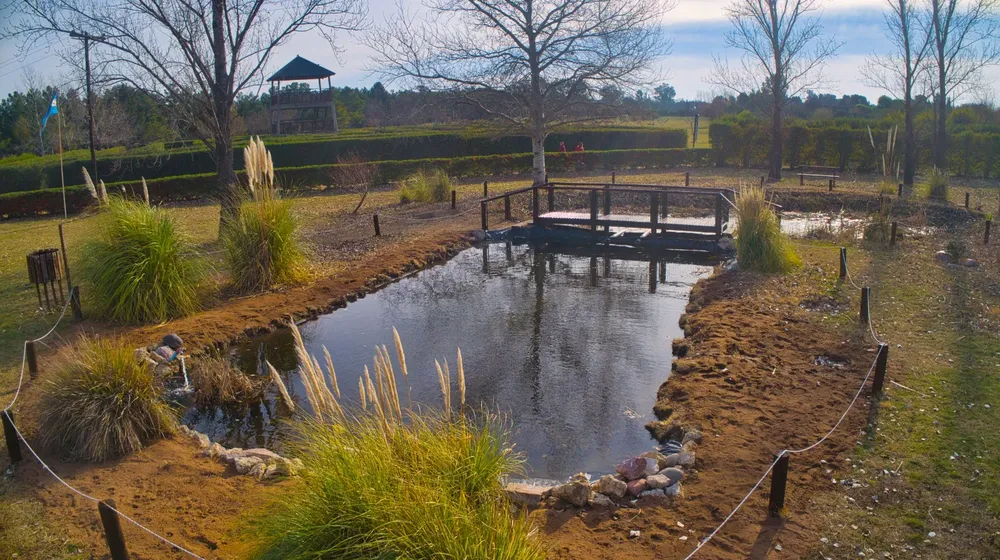 674275_f9f651da-d578-4f36-be97-4ee6f8ed135a