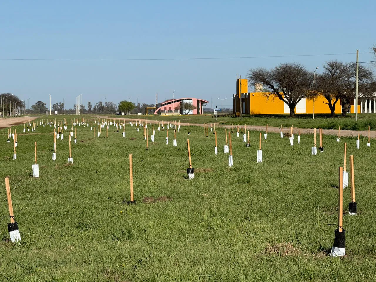 75fe9d91-26ad-4923-8cae-76e3d04f2c0f