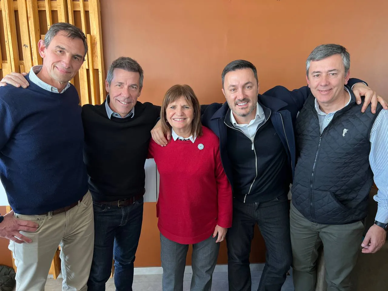 ardohain bullrich petri