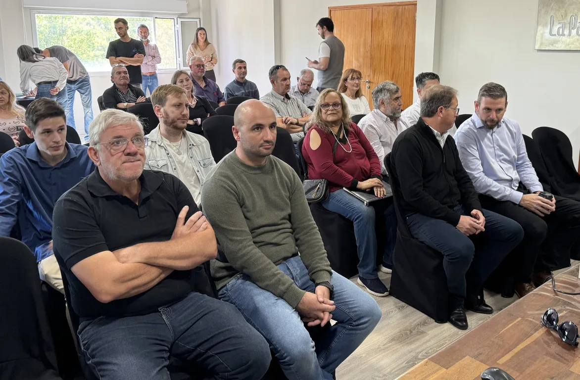 audiencia publica parque voltaico 11 FILE