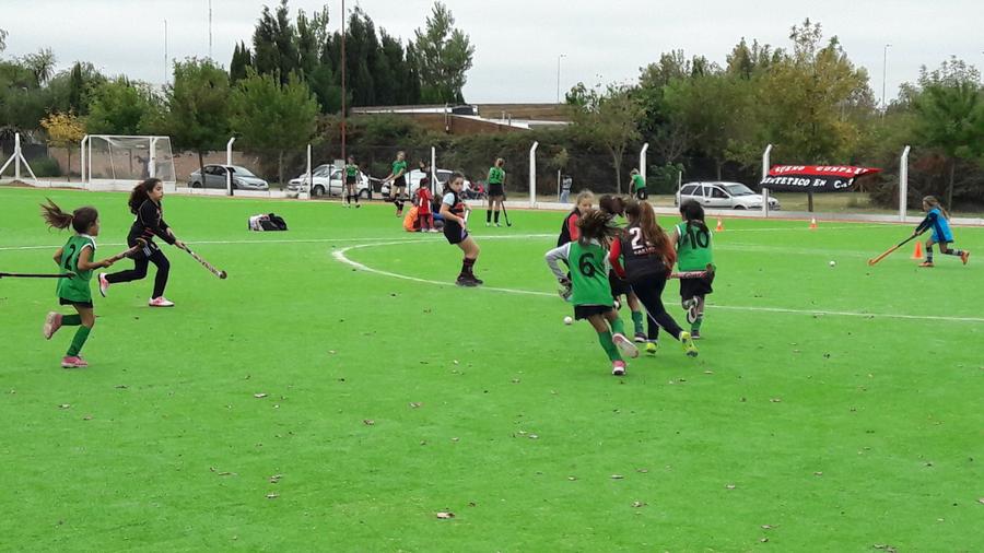 20180407_133252 (FILEminimizer)